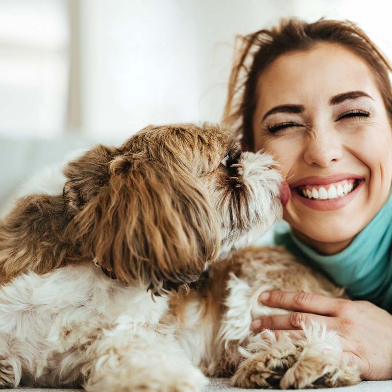 Why You Should Hire a Fuzzy Fur Babies Flight Nanny